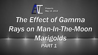 The Effect of Gamma Rays on Man-In-The-Moon Marigolds [Part 1]