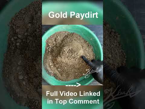 21 Grams of Gold - Goldbay Paydirt #shorts