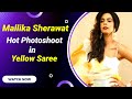 Mallika Sherawat Hot Photoshoot In Yellow Saree Mallika Sherawat Hot Look Entertainment News