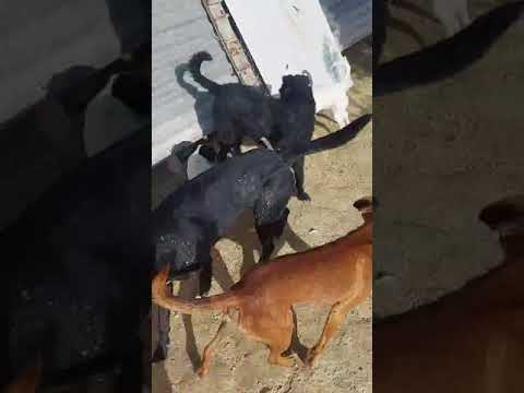 Dayra und Luba Ara November 2024 2