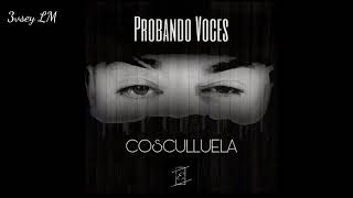 Cosculluela - Probando Voces (1,2 y 3) Tiraera Mix [Link De Descarga]