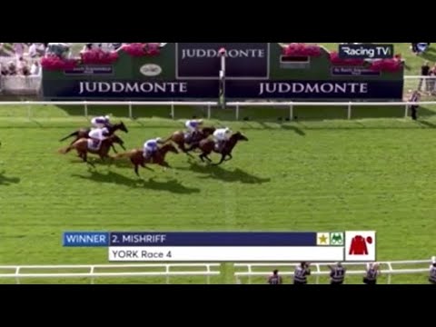 2021 Juddmonte International Stakes | Mishriff