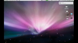 Peter Walker Live Stream