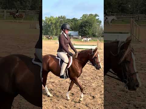 Golden Dream PF video 3