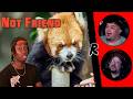 The Red Panda Problem Not Being Talked About Enough - @mndiaye_97 | RENEGADES REACT DEFAULT Thumbnail