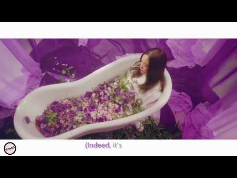 [Eng Sub] Pentagon - Violet (Japanese Ver.) MV