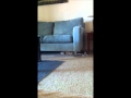 Dora The Explorer Wmv