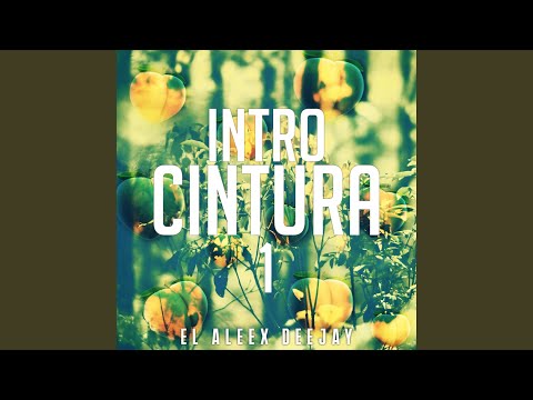 Intro Cintura