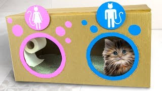 DIY Cat Toilet | Craft Ideas for Kids on Box Yourself