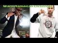 Warm Jamaican Christmas Time Baby Cham Wayne Wonder Madhouse Records