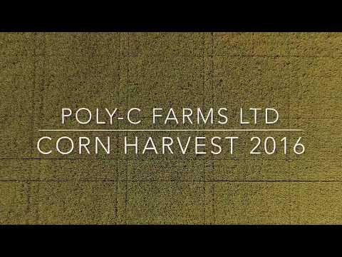 Corn harvest 2016 Poly-C Farms