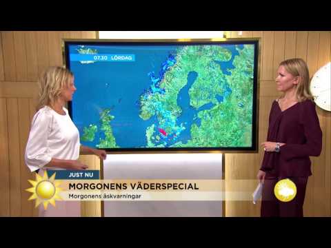 Meteorologen: "Regn och skurar på många håll idag" - Nyhetsmorgon (TV4)