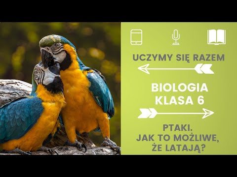 Biologia klasa 6. Ptaki. Jak to możliwe, że latają. Uczymy się razem