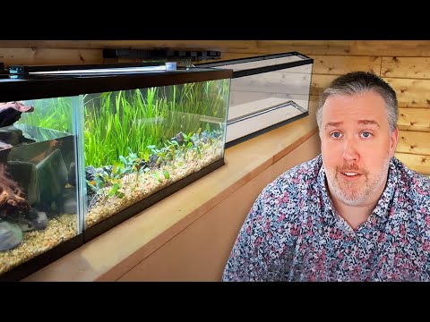 Why I'm Downsizing my Aquariums (and maybe you should too!)