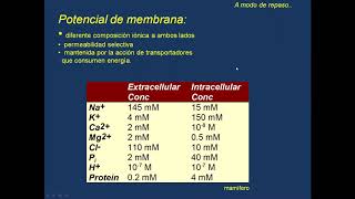 Electrofisiologia Neurona - Parte 2 (28/7)