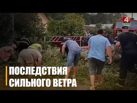 Сильный ветер повалил более 40 деревьев, повреждены 5 автомобилей видео