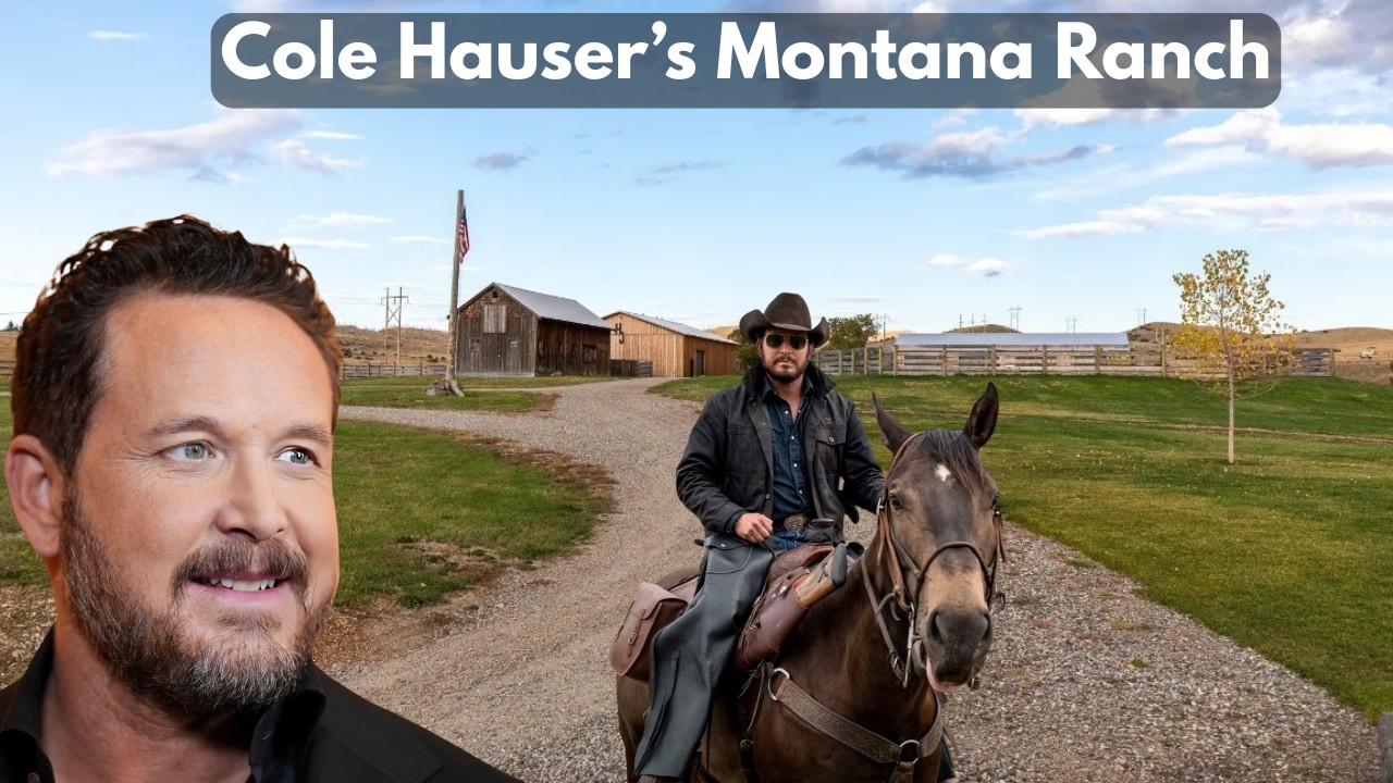 YouTube Thumbnail Downloader FULL HQ IMAGE