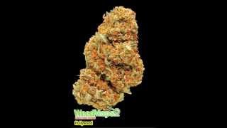 Weed Song - Bone - Thugs N Harmony