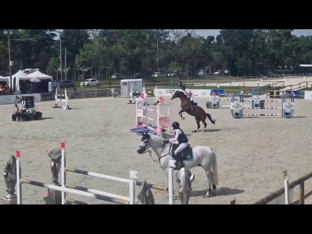 Cheval pour sauter 125/130cm 