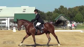 Jennifer Burk & Fresca Texas Rose Fall Horse Trials 2016