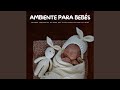 No Más Lágrimas