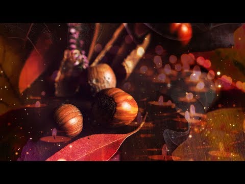 Mabon Harvest Ritual