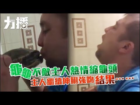 主人伸脷強吻結果...