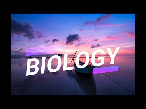 Cartoon X nublu X Gameboy Tetris - Biology