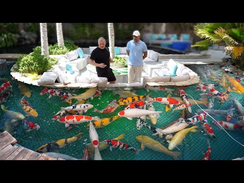 World's Largest Koi Pond! **Big Fish**