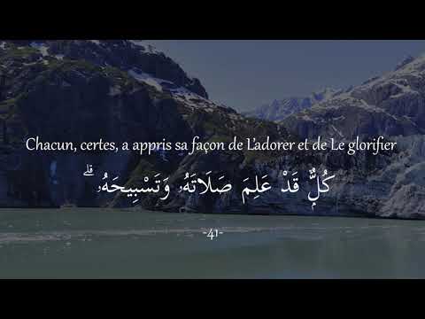 Sourate An-Nur (La Lumière) | Versets 41-42 [Yasser Al Dossari]