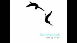 White Birch - We are not the ones