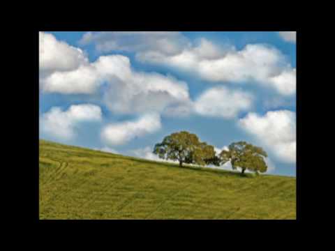 The Golden Dancing Shoes  ----  Andreas Vollenweider.