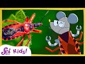 Meet The True Bugs SciShow Kids