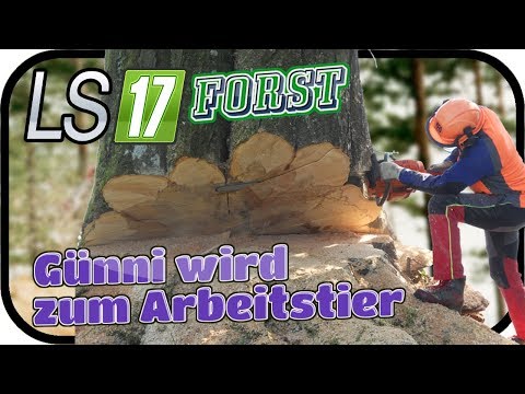 LS17 FORST FICHTELBERG SE02 - Günni wird zum Arbeitstier #035 ★ Lets Play Farming Simulator