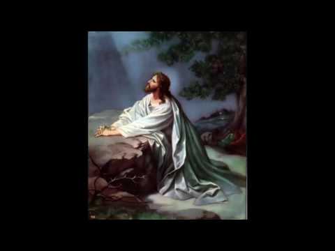 The Garden of Gethsemane