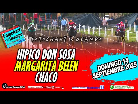 HÍPICODON SOSA.-MARGARITA BELÉN - CHACO- Resumen de la Reunión del 14/09/2025