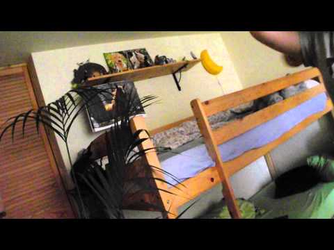 Aprílové velikonoce - první zvonění aneb první koledníci