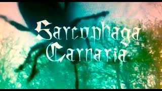 6V6 - Sarcophaga Carnaria (Videoclip)