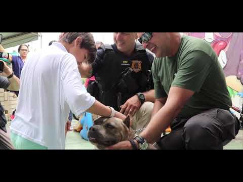 Cinoterapia CãoFiança