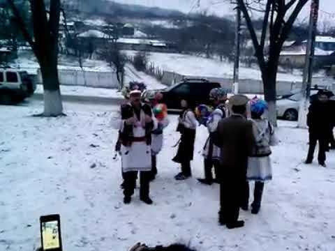 Jocul Damelor Vaslui, Bogdana