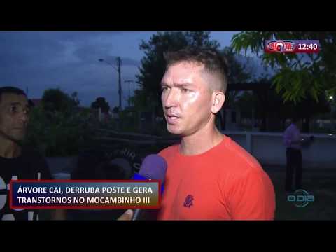 ROTA DO DIA 08 01 2020  AÌrvore cai, derruba poste e gera transtorno no Mocambinho III