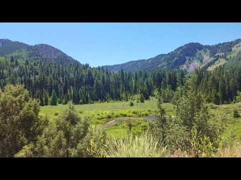 Escape to Idaho's Willow Flat Campground: Where Nature Meets Adventure