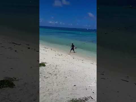 Mauritius Beach