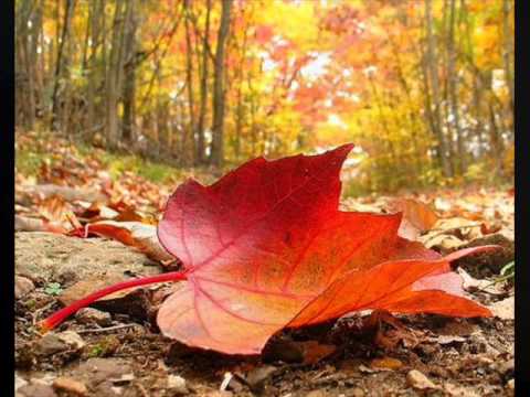 INIMA TU CREMENE RAMAI - romanta