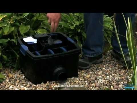 Watch Video on YouTube