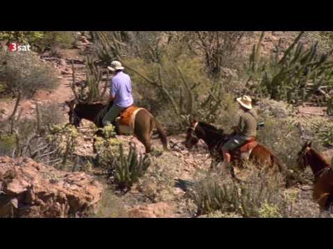 3sat - Die Letzten ihrer Art (5/5)