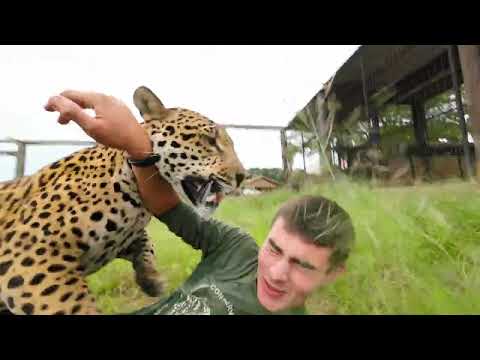 PRECISO TIRAR A ONÇA ROMEU DAQUI! | TIAGO JÁCOMO