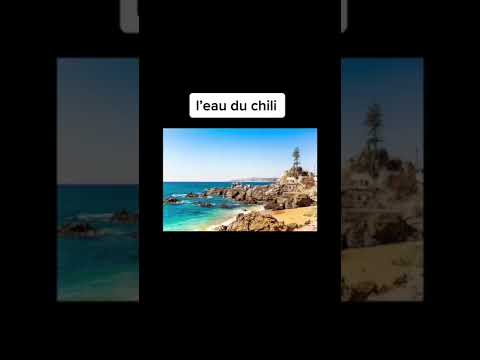 les monstres marins mythiques les plus effrayant