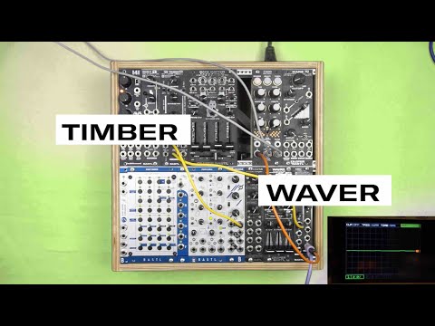 Bastl Instruments Waver & Timber Module Walkthrough