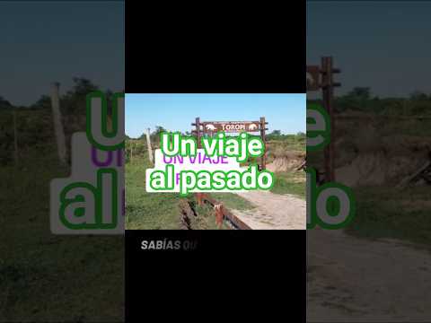 Reserva Paleontologica Toropi en Bella Vista Corrientes #viaje #corrientes #naturaleza #soniabelen